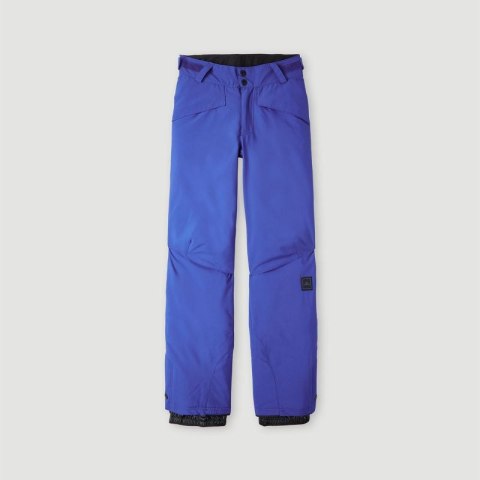 Dziecięce Spodnie HAMMER PANT ONeill