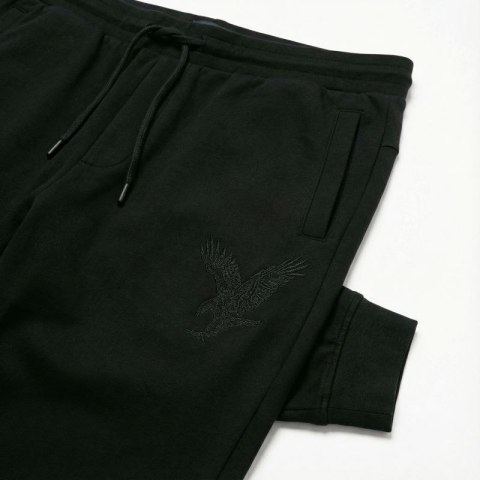Spodnie sportowe męski Armani Exchange czarne (6DZPAB-ZJKBZ-1200)