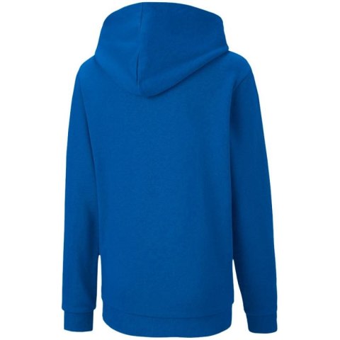 Bluza Puma teamGOAL 23 Casuals Hoody Jr 656711 02 Puma