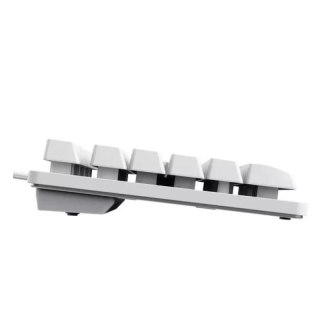 Klawiatura TKL Trust GXT 833W Thado White Trust