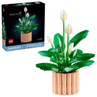 LEGO Botanical 11504 Skrzydłokwiat w doniczce Lego