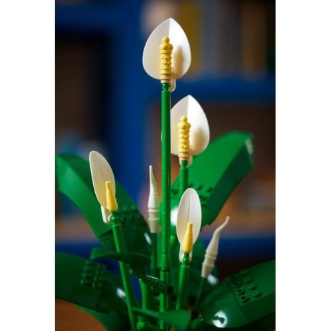 LEGO Botanical 11504 Skrzydłokwiat w doniczce Lego