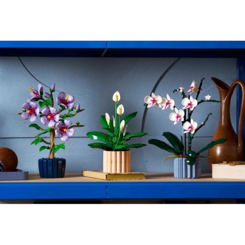 LEGO Botanical 11504 Skrzydłokwiat w doniczce Lego