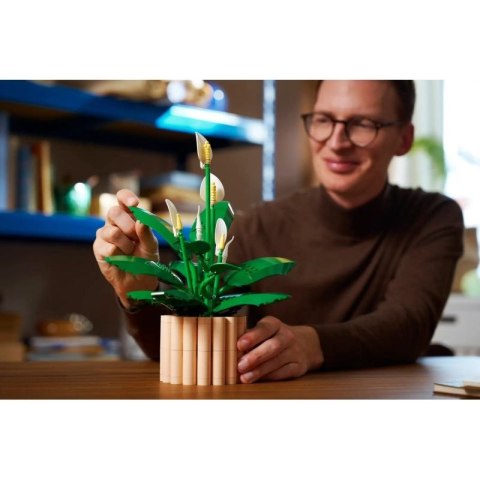 LEGO Botanical 11504 Skrzydłokwiat w doniczce Lego