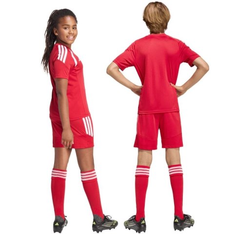 Spodenki dla dzieci adidas Tiro 26 League czerwone KA8817 Adidas