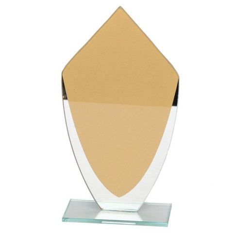 Trofeum szklane W283 Biemans
