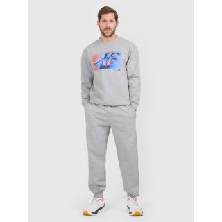 Spodnie dresowe joggery męskie 4F 4FRAW25TTROM1832-27M 4f