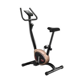 BODY SCULPTURE ROWER TRENINGOWY BC 1430GD Body Sculpture