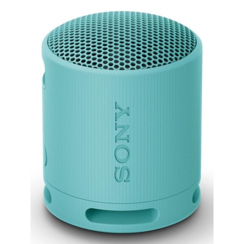Sony SRS-XB100 Głośnik mono przenośny Niebieski Sony
