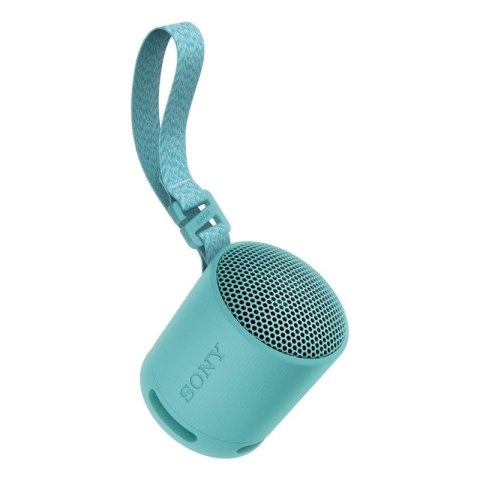 Sony SRS-XB100 Głośnik mono przenośny Niebieski Sony