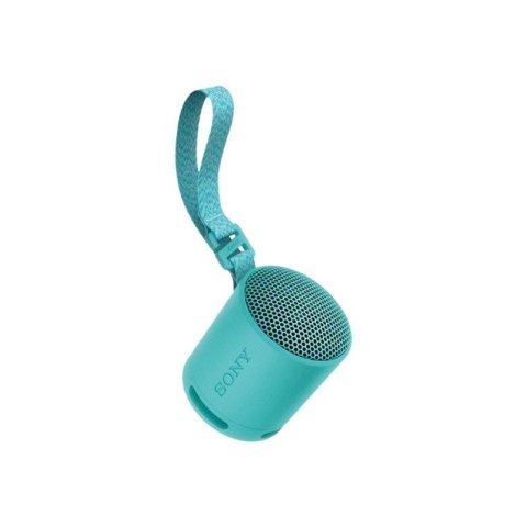 Sony SRS-XB100 Głośnik mono przenośny Niebieski Sony