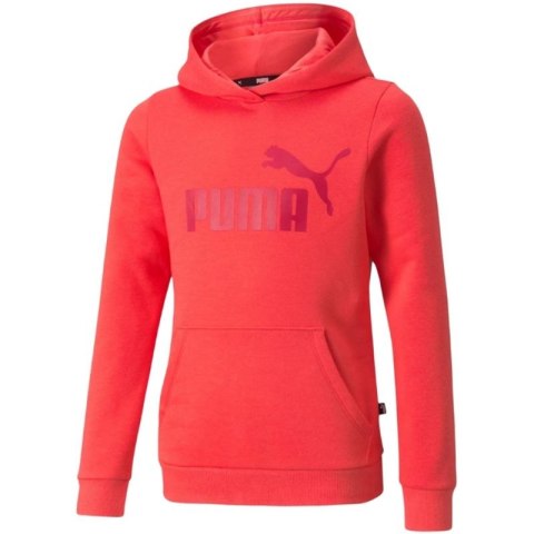 Bluza Puma ESS Logo Hoodie FL Jr 587031 35 Puma