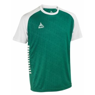 Koszulka Piłkarska Select Pisa X zielono biała Select
