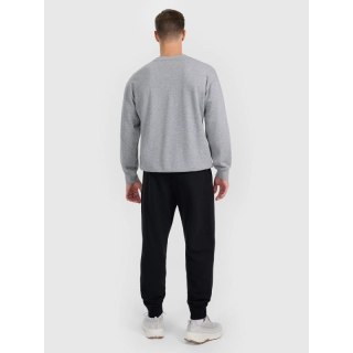 Spodnie dresowe joggery męskie 4F 4FRMM00TTROM1624-20S 4f