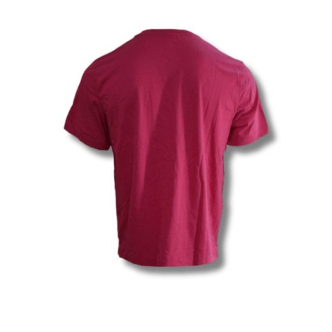 Koszulka Air Jordan Mountainside Jumpman T-shirt - CZ0400-630
