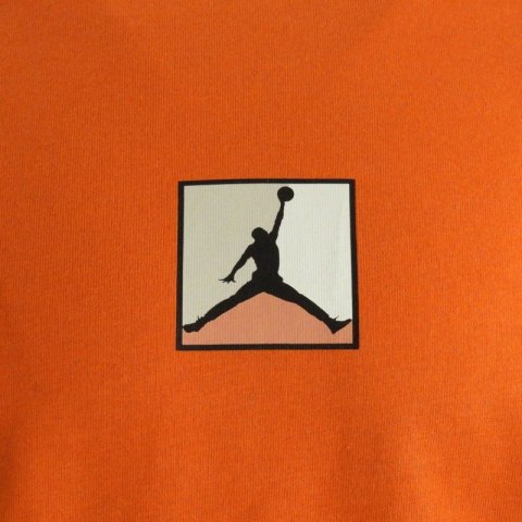 Koszulka męska Air Jordan Brooklyn - HQ8942-805