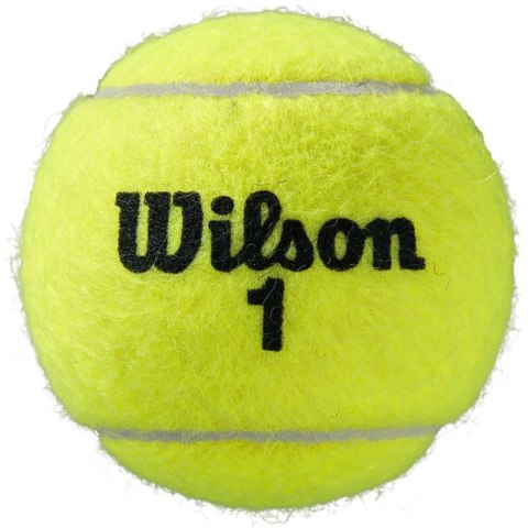 Piłki do tenisa ziemnego Wilson Roland Garros All Court 3 szt. WRT126400 Wilson