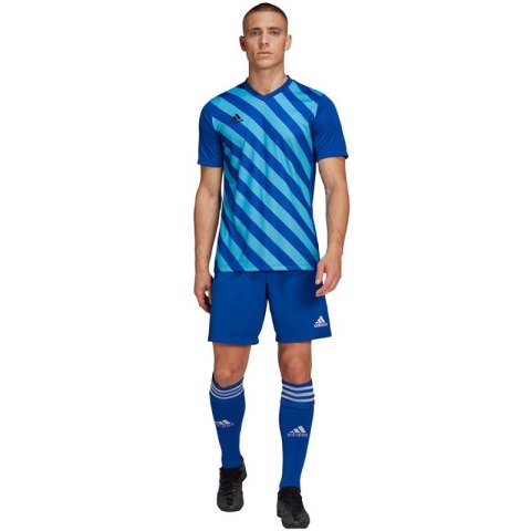 Koszulka adidas Entrada 22 Graphic Jersey M HF0116 Adidas