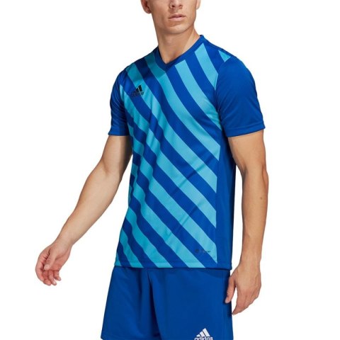 Koszulka adidas Entrada 22 Graphic Jersey M HF0116 Adidas