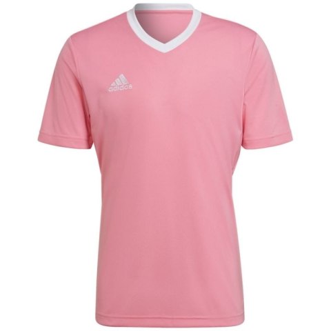 Koszulka adidas Entrada 22 Jersey M HC5072 Adidas