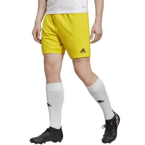Spodenki adidas Entrada 22 M IC7404 Adidas