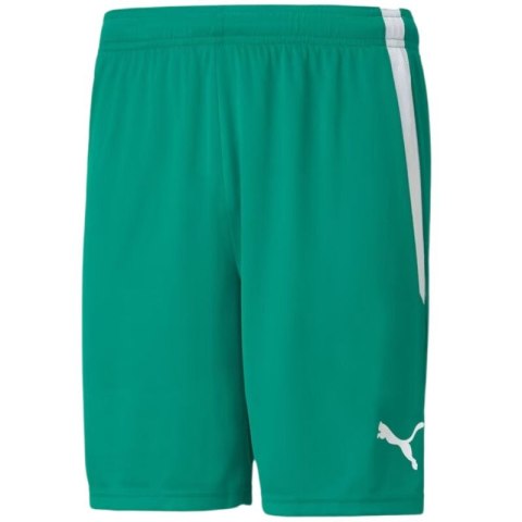 Spodenki Puma teamLiga M 704924 05 Puma