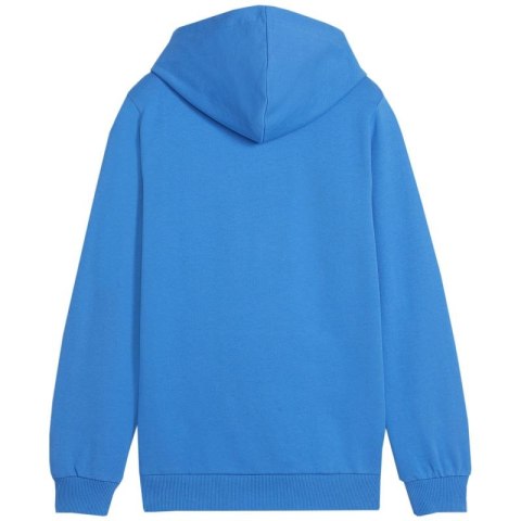 Bluza Puma Team Goal Casuals Hoddy Jr 658619 02 Puma
