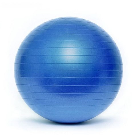 Piłka gimnastyczna BL003 55 cm HS-TNK-000011192 Inny
