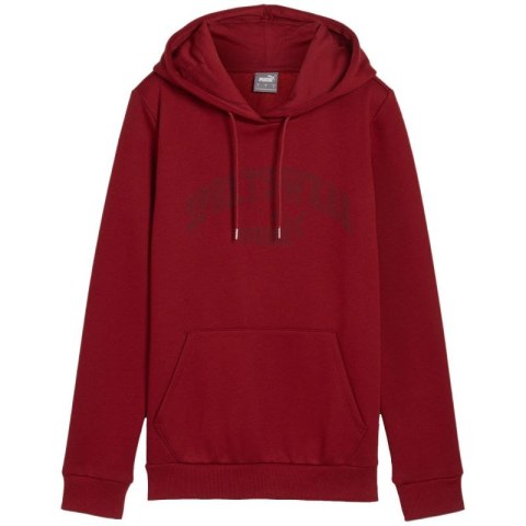 Bluza Puma Ess+ Logo LAB Hoodie FL W 682987 13 Puma