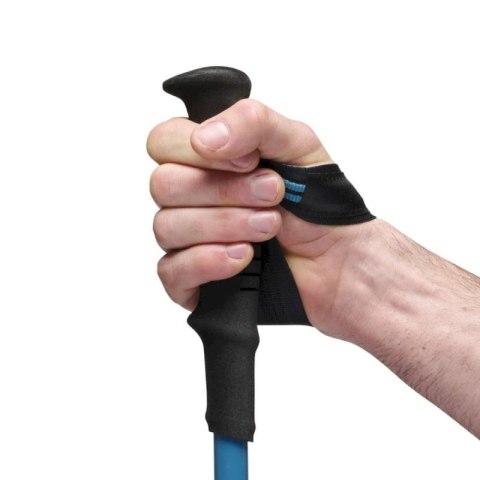 Kije trekkingowe Black Diamond DISTANCE CARBON FLZ POLES 125-140 cm