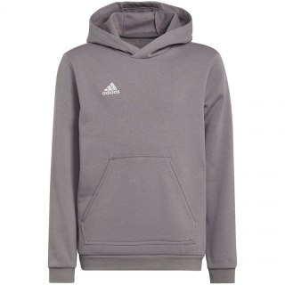 Bluza adidas Entrada 22 Hoody Jr H57515 Adidas