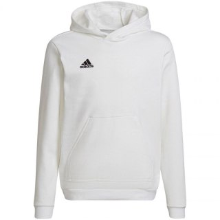 Bluza adidas Entrada 22 Hoody Jr HG6303 Adidas