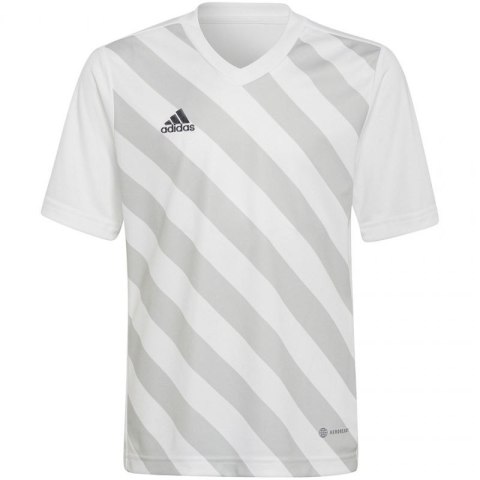 Koszulka adidas Entrada 22 Graphic Jersey Jr HF0120 Adidas