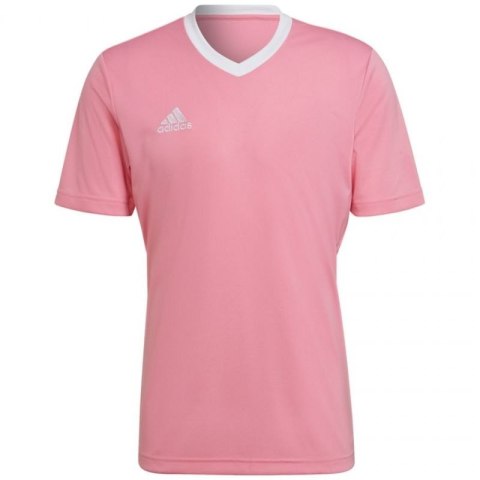 Koszulka adidas Entrada 22 Jersey M HC5072 Adidas