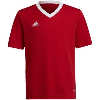 Koszulka adidas Entrada 22 Jsy Jr H57496 Adidas