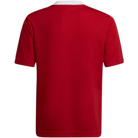 Koszulka adidas Entrada 22 Jsy Jr H57496 Adidas