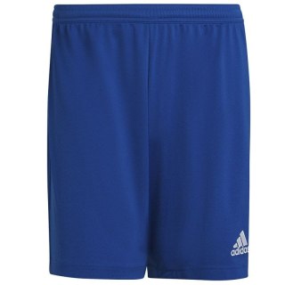 Spodenki adidas Entrada 22 M HG6294 Adidas