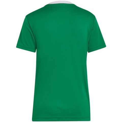 Koszulka adidas Entrada 22 Jersey W HI2124 Adidas