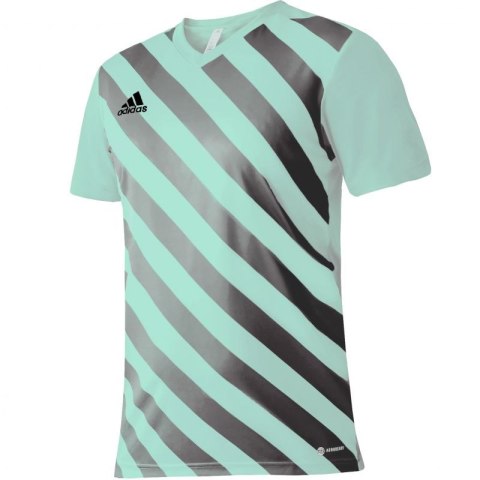 Koszulka adidas Entrada 22 Graphic Jersey M HF0119 Adidas