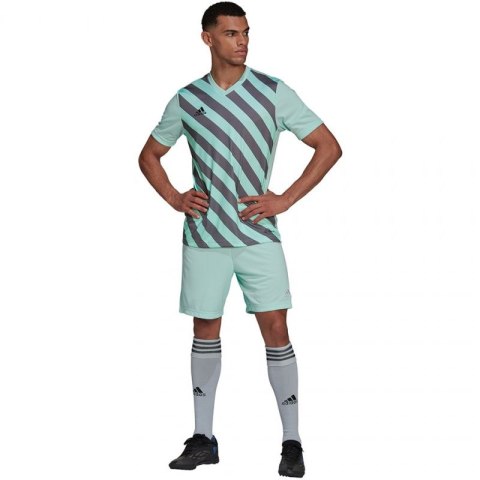 Koszulka adidas Entrada 22 Graphic Jersey M HF0119 Adidas