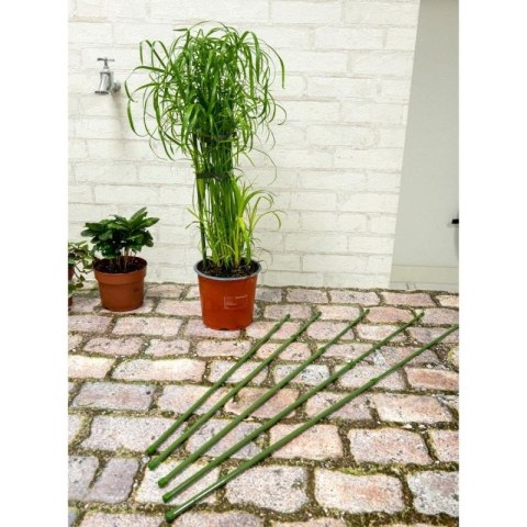 PODPORA TYCZKA DO ROŚLIN 6SZT 50-80CM KINZO Kinzo