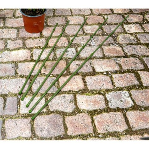 PODPORA TYCZKA DO ROŚLIN 6SZT 50-80CM KINZO Kinzo