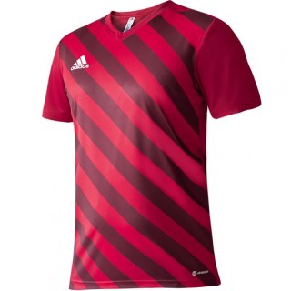 Koszulka adidas Entrada 22 Graphic Jersey Jr H58983 Adidas