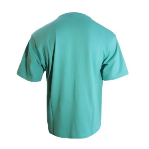 Koszulka męska Air Jordan Brooklyn Arch Logo T-shirt Washed Teal - IB7347-392