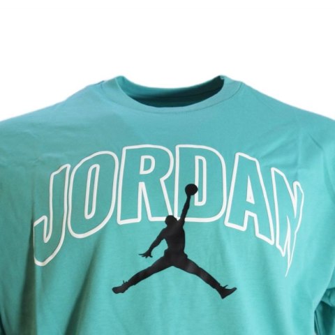 Koszulka męska Air Jordan Brooklyn Arch Logo T-shirt Washed Teal - IB7347-392