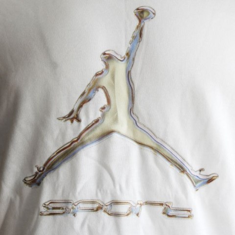 Koszulka męska Air Jordan Sport Men's Dri-FIT T-Shirt Biała - HQ7984-100 AIR Jordan