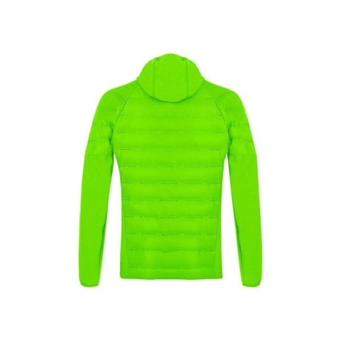 Salewa AGNER HYBRID RDS DWN M JKT 028018-5641 pale frog Salewa