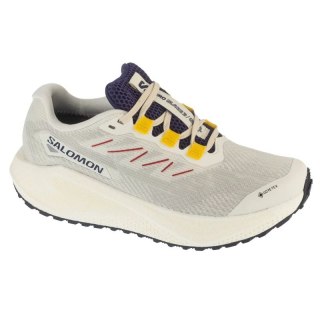 Salomon Aero Blaze 3 Grvl GTX W L47974100 Szare 38 Salomon