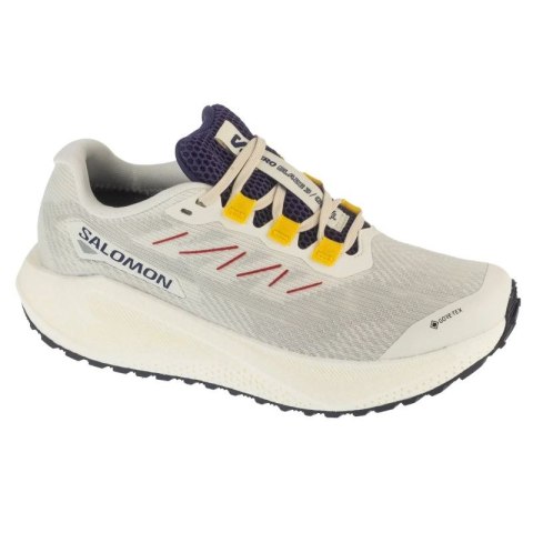 Salomon Aero Blaze 3 Grvl GTX W L47974100 Szare 38 Salomon