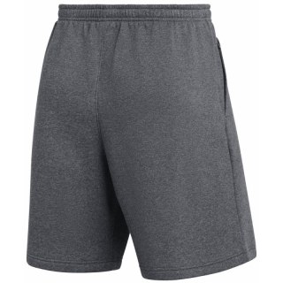 Spodenki męskie Nike Park 26 Fleece szare IB1238 063 Nike